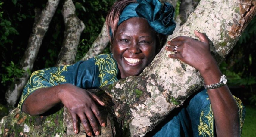 Dr Wangari Muta Maathai founded the Green Belt Movement
