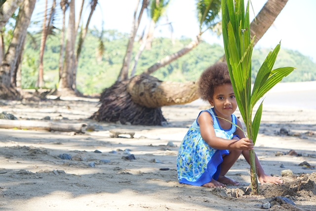 Fijian girl planting a palm