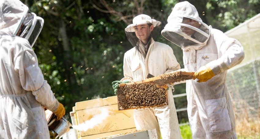 Flinders Secondary School students "suit up" for beekeeping lessons