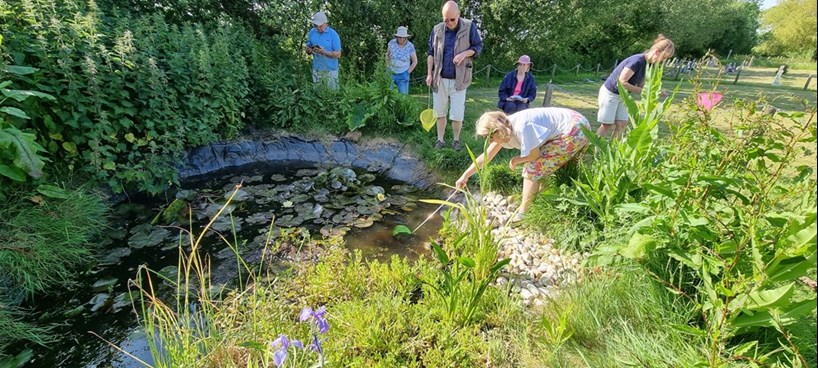 Pond dipping at St Helen’s, St Helens, on the Isle of Wight