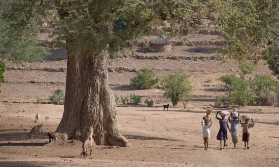 Children walking in a village in Sudan