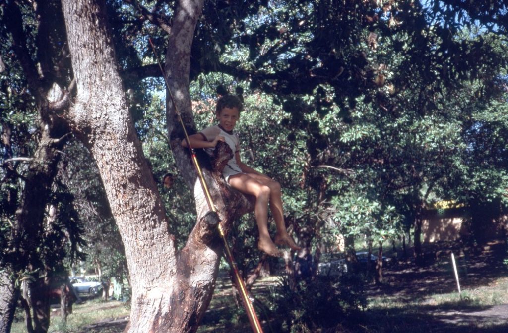 Young child in a tree next to a beach rod in the early 1980s