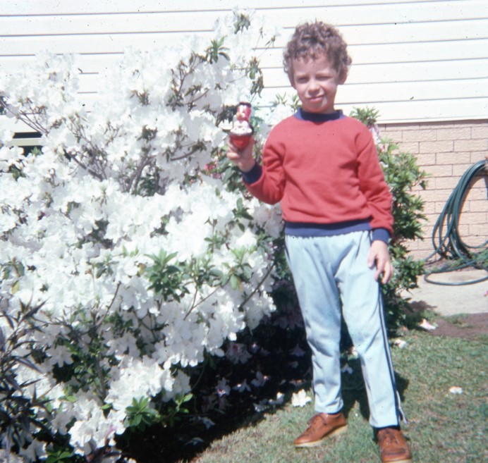 Young boy holding up a toy next to a white floral bush in the 1970s