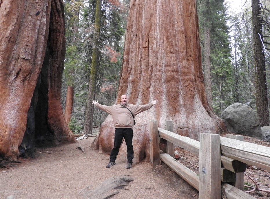 Man in light brown jumper and black jeans in front of a huge tree trunk 