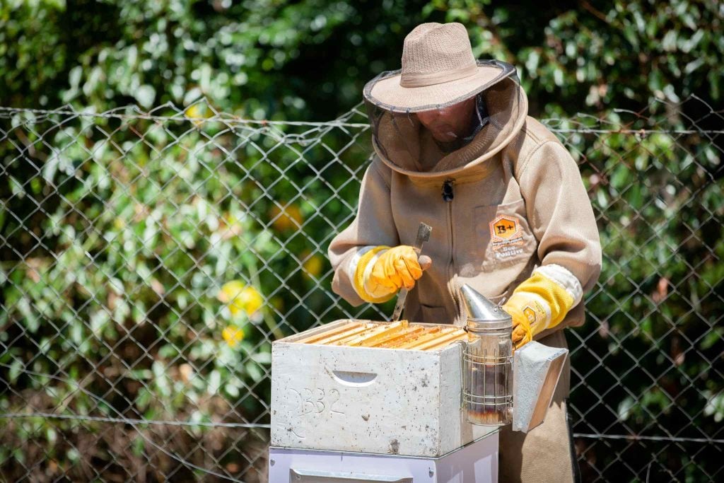 Man tending to a bee hive in protective gear