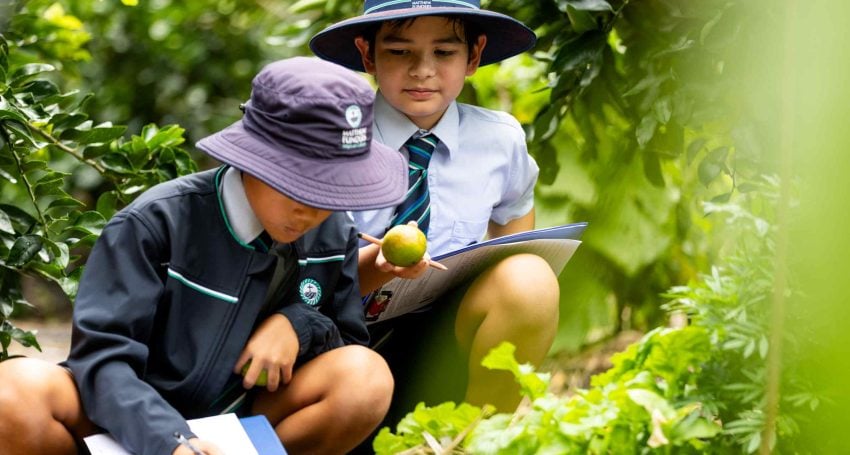 School students tending to a farm