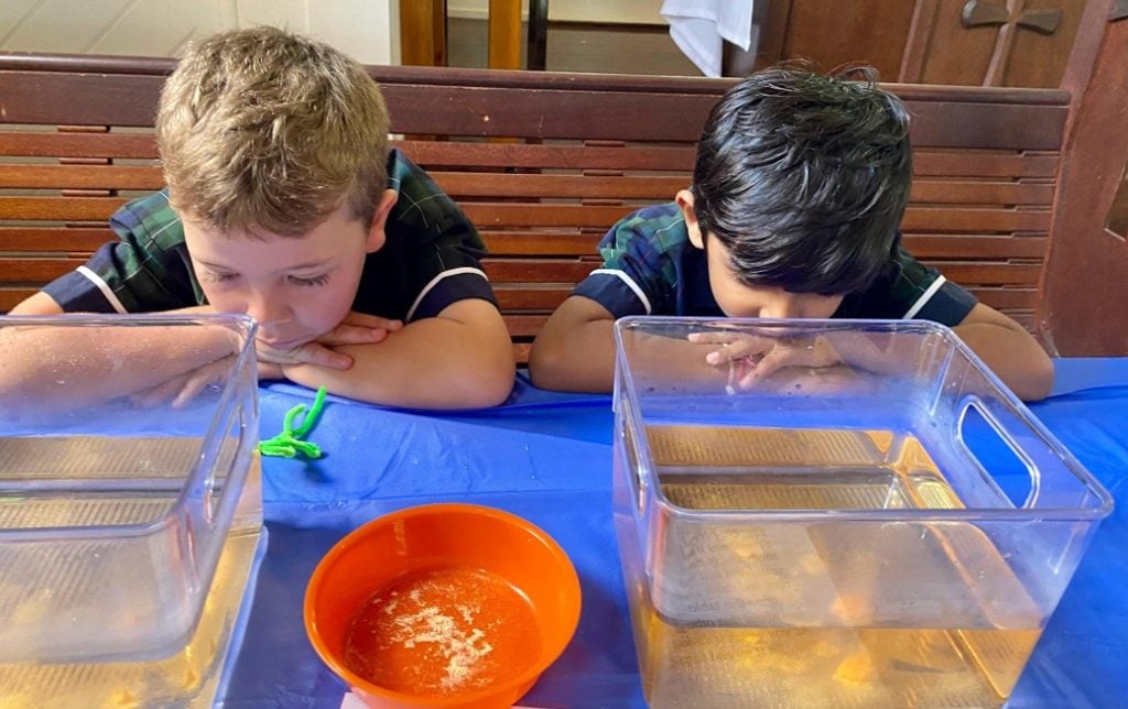 Two boys looking into containers of water 