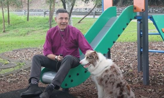 Archbishop sitting on slippery slide next to his border collie
