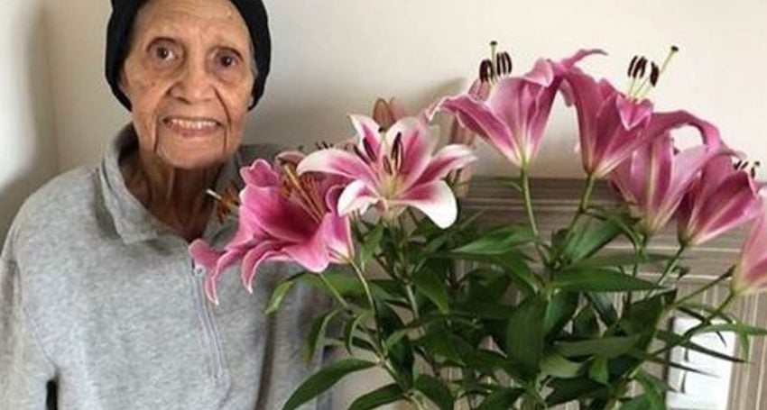 Aboriginal elder with pink lilies